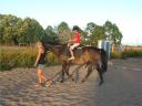 horse riding lessons