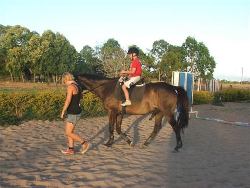 horse riding lessons