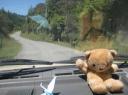 Teddy & the road