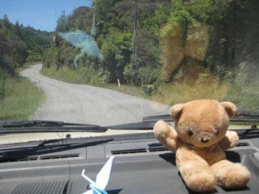 Teddy & the road