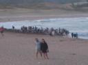 digging crowds @ hot water beach