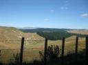 NZ hills