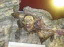 orc!