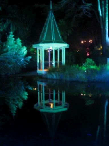 Wellington Botamic Garden by night