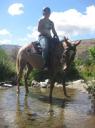 horse riding