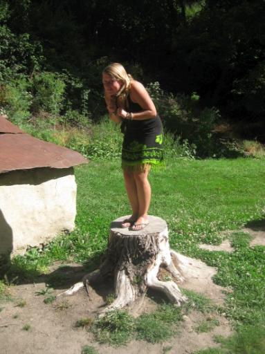 Roos doet de Hobbit