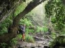 onder een waterfall