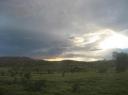 outback
