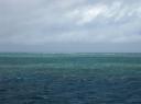 IMG_9149-550