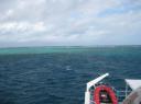IMG_9151-550