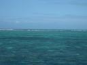 IMG_9220-550