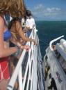 IMG_9256-550