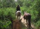 riding