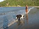 met de doggies naar het strand