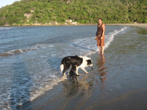 met de doggies naar het strand