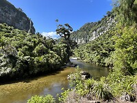 Arjens wandeling door Paparoa National park