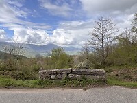 IMG_9985