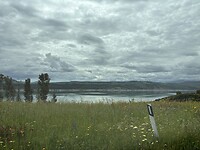 IMG_9990