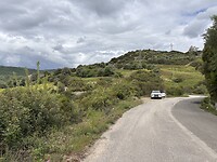 IMG_9999