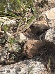 IMG_0141
