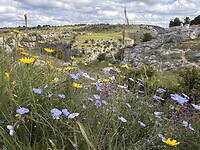 IMG_0143