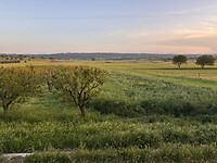 IMG_0231