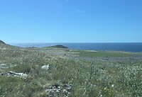 IMG_0315