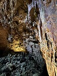 IMG_0410