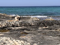 IMG_0457