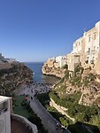 IMG_0460