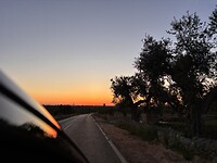 IMG_0424