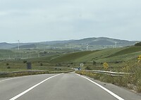 IMG_0503