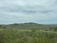 IMG_0509