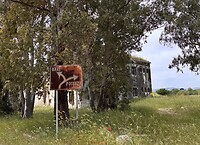 IMG_0497