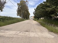 IMG_0494