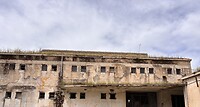 IMG_0499