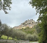 IMG_0527