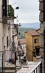 IMG_0559