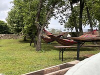 IMG_0606