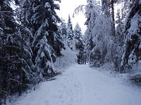 Winter in Unbyn