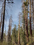 IMG_20220523_181112465_HDR