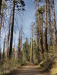 IMG_20220523_181102471_HDR