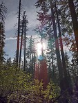 IMG_20220523_180551219_HDR