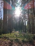 IMG_20220523_180521598_HDR