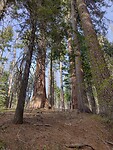 IMG_20220523_173846776_HDR