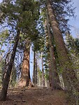 IMG_20220523_173840917_HDR