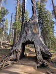 IMG_20220523_171939024_HDR