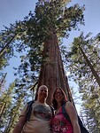 IMG_20220523_170630768_HDR