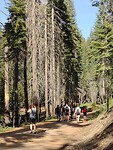 IMG_20220523_164552661