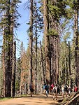 IMG_20220523_164525803